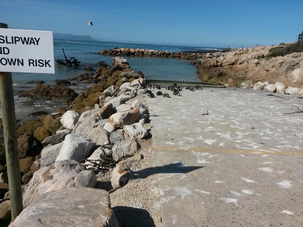 Harbour View Lodge Gordonsbaai Buitenkant foto